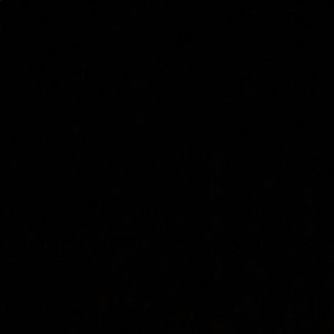 Meet your Posher, Ally